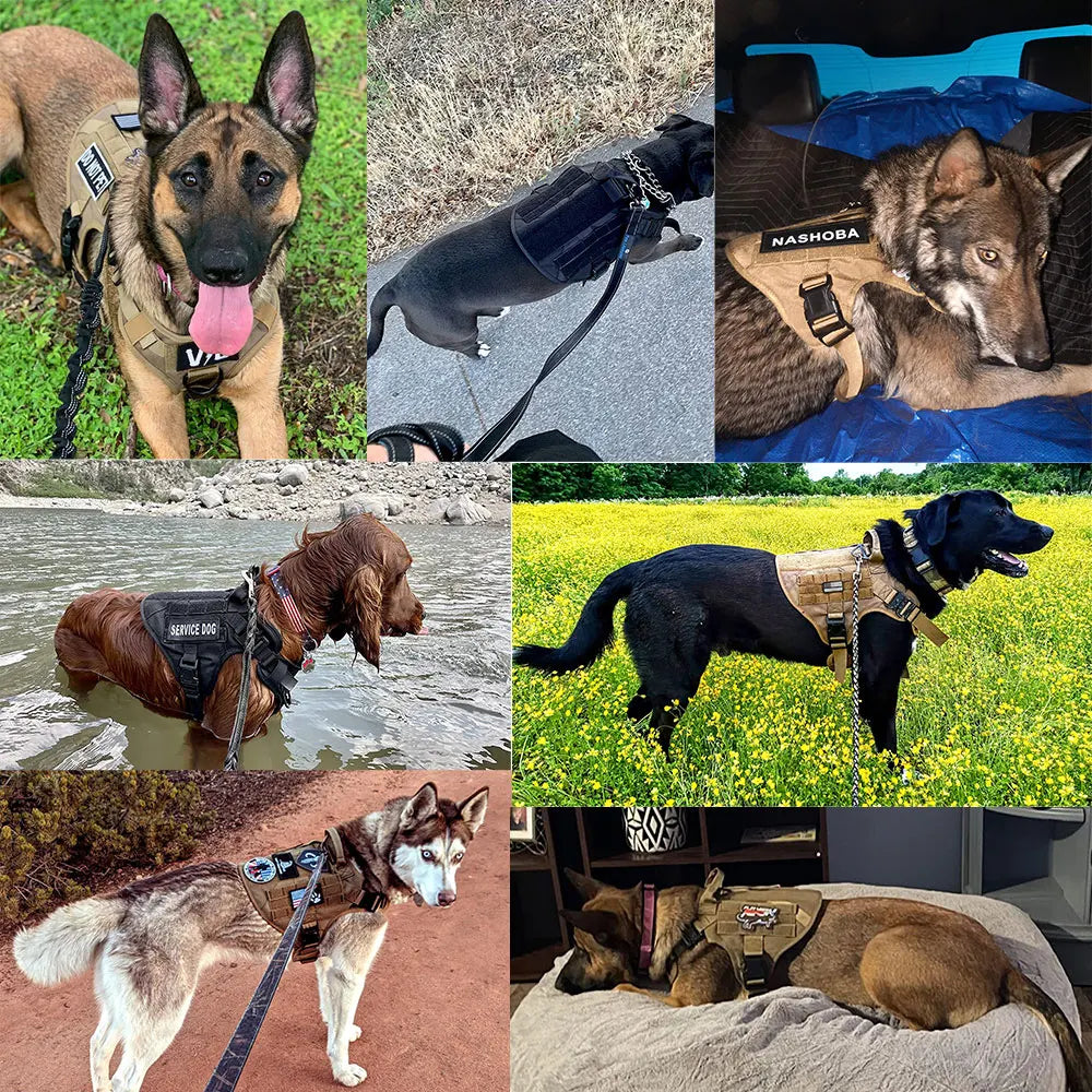 PETRAVEL Tactical Dog Harness Leash Set For Malinois And Large Dogs No Pull